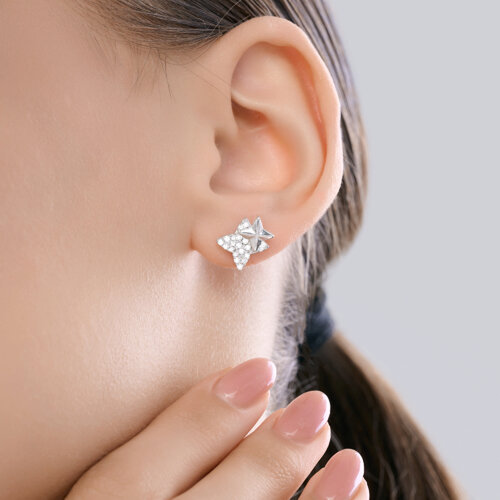 Cercei Pusete din argint  cu pietre Cubic Zirconia Incolor