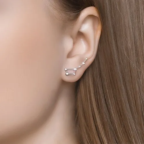 Cercei din argint cu Cubic Zirconia Incolor