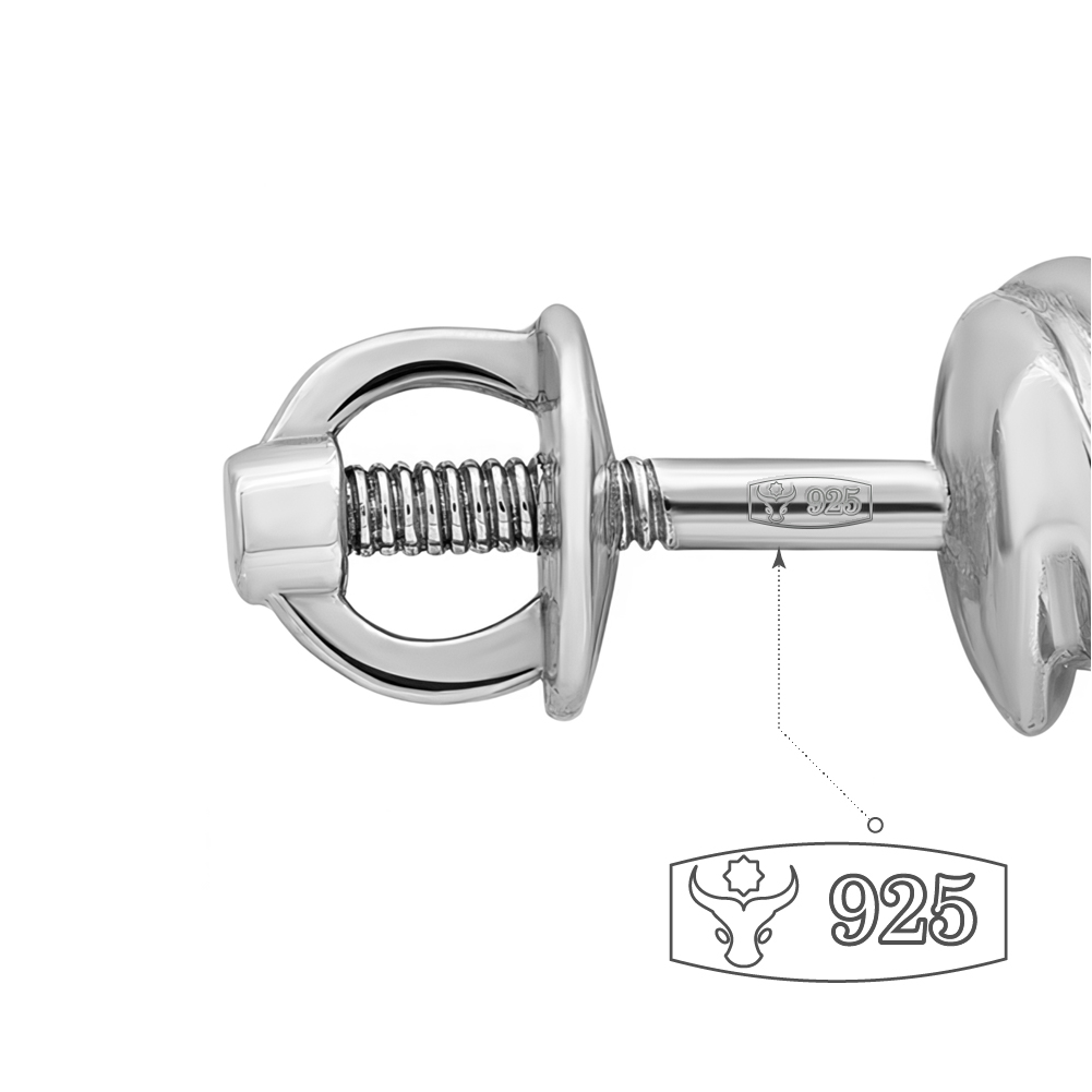 Cercei Pusete din argint  cu pietre Cubic Zirconia Color