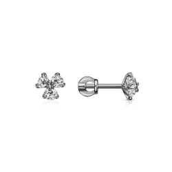 Cercei Pusete din argint  cu pietre Cubic Zirconia Incolor