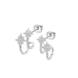 Cercei Pusete din argint  cu pietre Cubic Zirconia Incolor