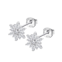 Cercei Pusete din argint  cu pietre Cubic Zirconia Incolor